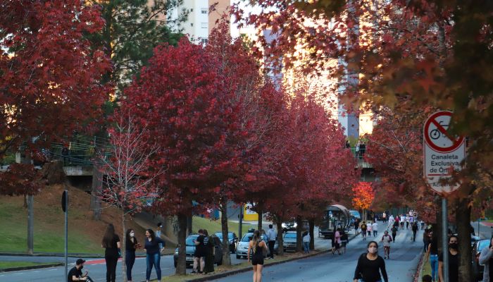  Outono começa na sexta com chuva acima da média e mais dias com amplitude térmica 